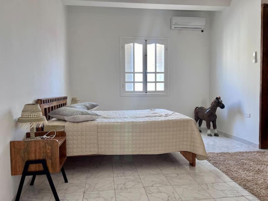 Dar Zakaria Toursitic Area Apartment Tozeur Bagian luar foto